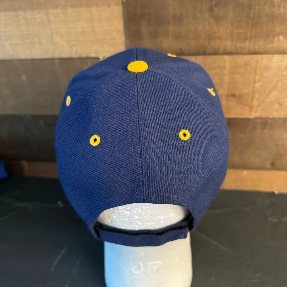san felipe bc mexico swordfish‎ blue hat Adjustable
